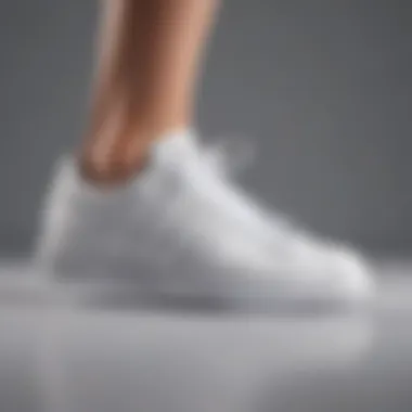 From Functionality to Fashion: The Design Transformation of Tennis Footwear Design transformation of athletic footwear