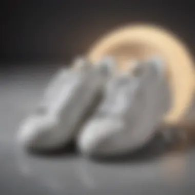 A Journey Through Time: The Evolution of White Tennis Shoes Historical evolution of white tennis shoes