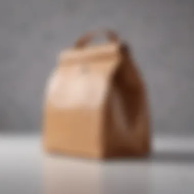 A stylish lunch bag made from sustainable materials