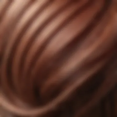 Close-up of key ingredients beneficial for colored hair