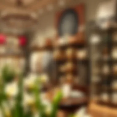 Anthropologie Store Display A detailed view of Anthropologie store showcasing diverse products