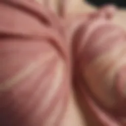 Anatomical illustration of breast tissue development