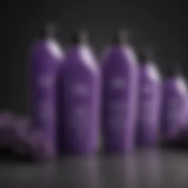 A selection of popular purple conditioner brands displayed aesthetically.