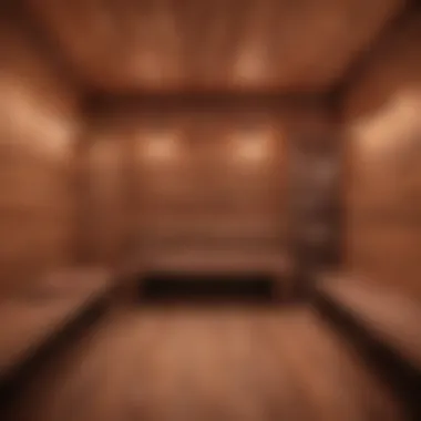 Infrared vs. Traditional Saunas Comparison chart of infrared and traditional saunas highlighting key differences