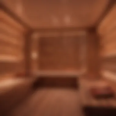Luxurious Infrared Sauna Interior Luxurious infrared sauna interior showcasing warmth and tranquility