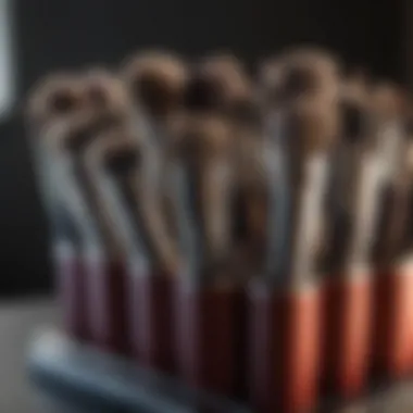 Well-maintained brushes displayed in a stylish holder